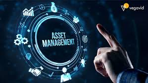 Maximizing Efficiency Through Digital Asset Management Systems