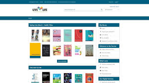 Exploring the Boundless World of a Digital Library Website