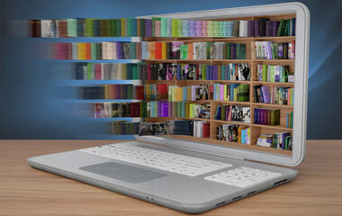 Unlocking Knowledge: Exploring the Digital Library Portal Experience