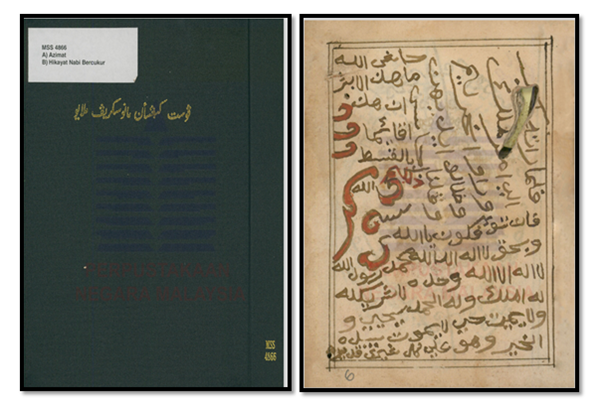 Advancing Libraries: The Power of PDF in Digitizing Library Materials