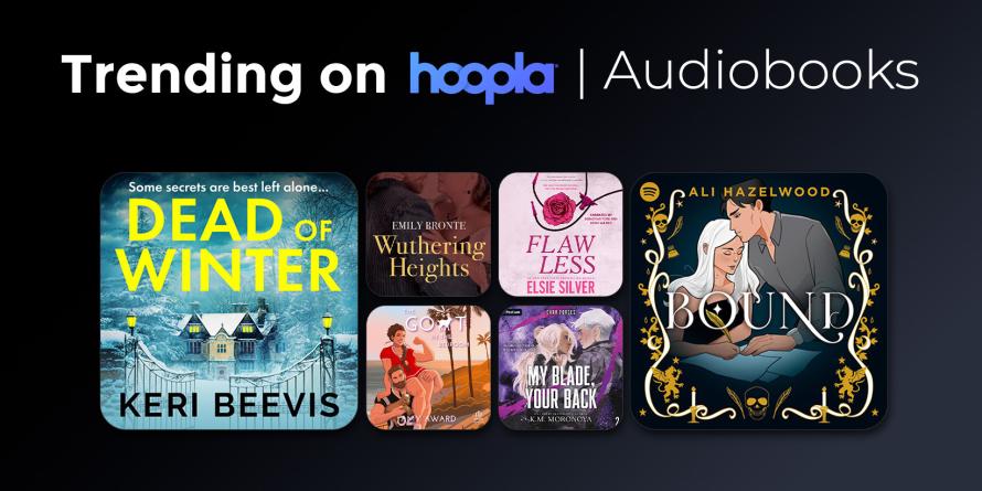 Discover a World of Reading with Hoopla Books Online