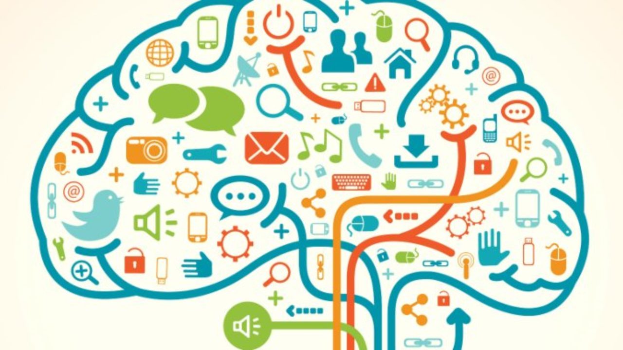 knowledge management