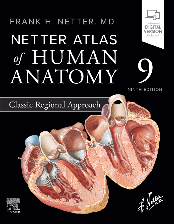 atlas of human anatomy digital ebook frank h netter