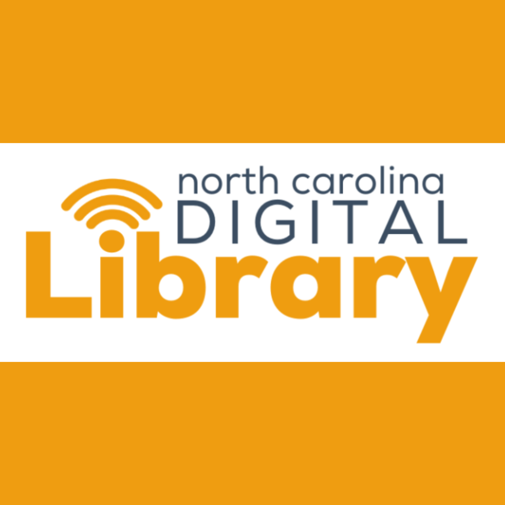 Exploring the Boundless Benefits of an Online Digital Library for Students