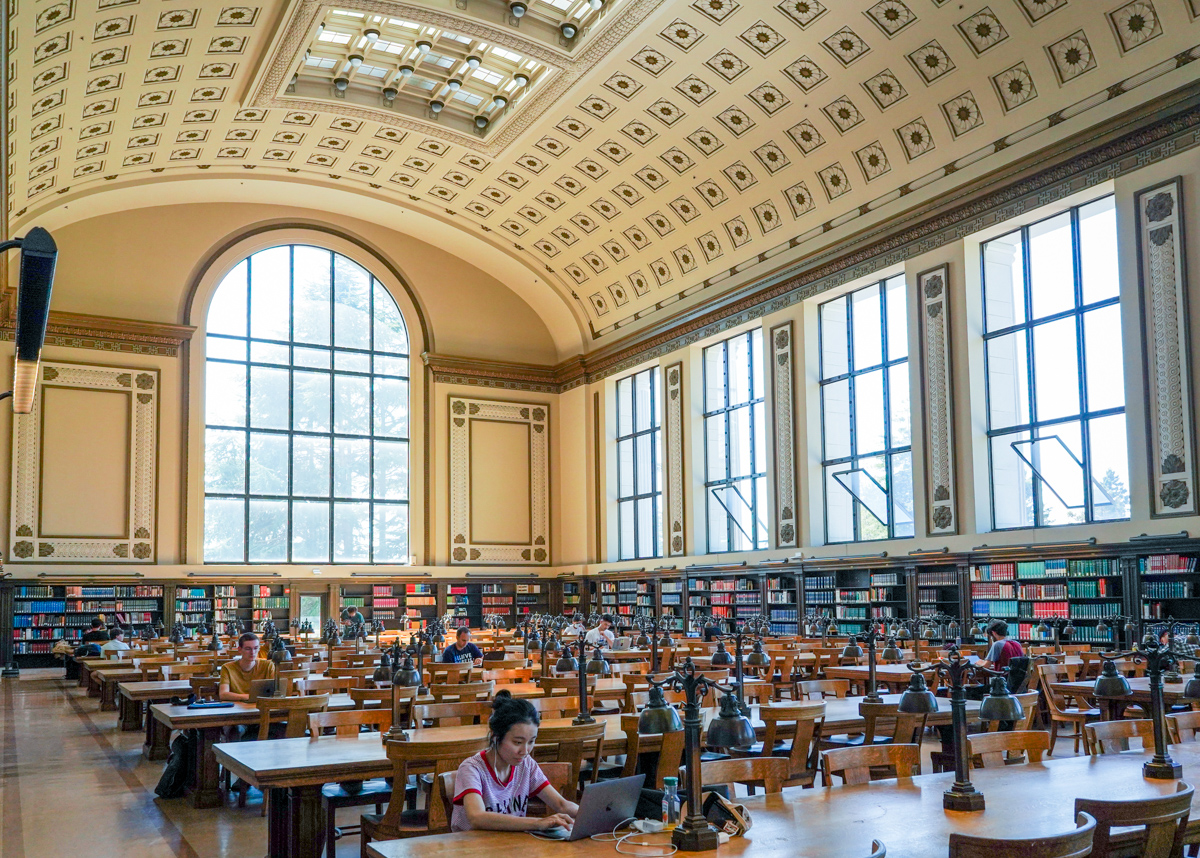 library's collections