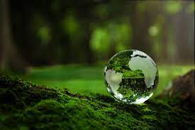 Championing Environmental Conservation: A Call to Protect Our Precious Environment