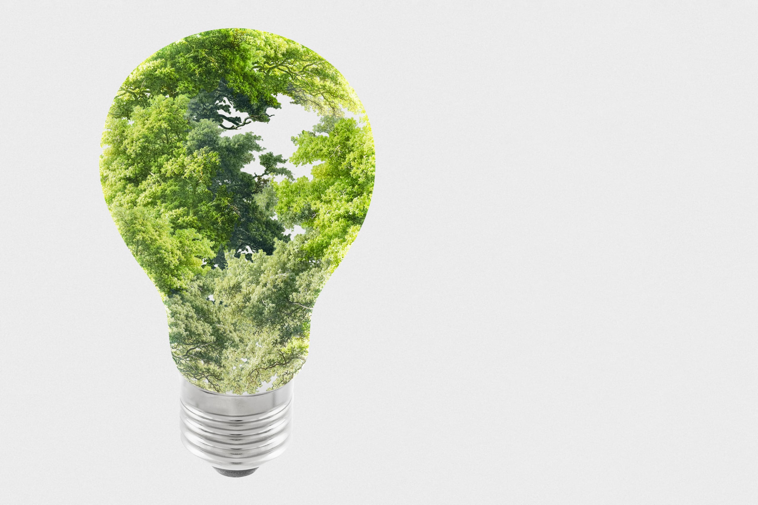 Sustainability: Building a Better Future